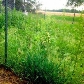 Our Newest Experiment Image